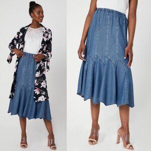 NWT Laura Linea Dormani Gored Maxi Skirt Blue Chambray Size Large New‎ With Tags